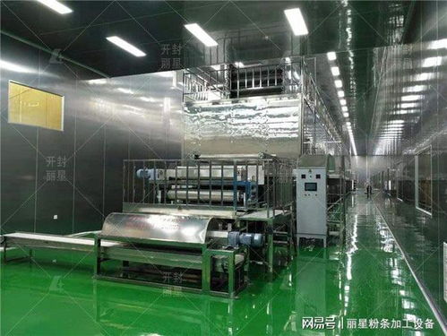 粉條粉絲廠辦廠投資指南 流程、預算關鍵及盈利管控解析